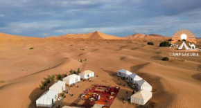 Camp Sakura Desert Dream